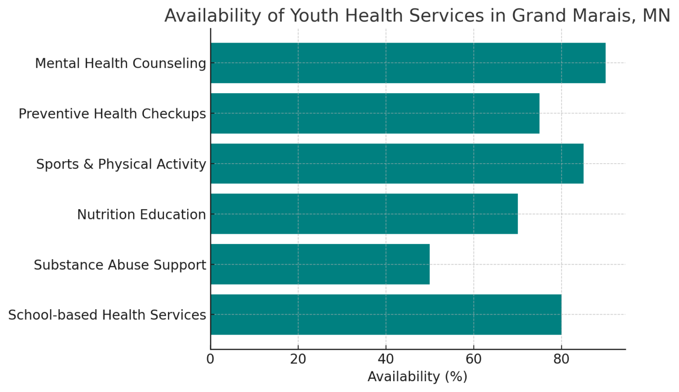 health needs of youth in Grand Marais, Minnesota