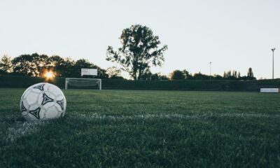 green tree soccer camp